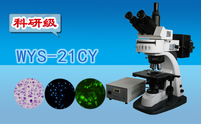 荧光茄子TV在线观看技术包括哪几种？